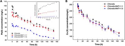 The bio-immobilization of Pb(II) induced by the Chlorella–montmorillonite composite in the Ca(II) environment